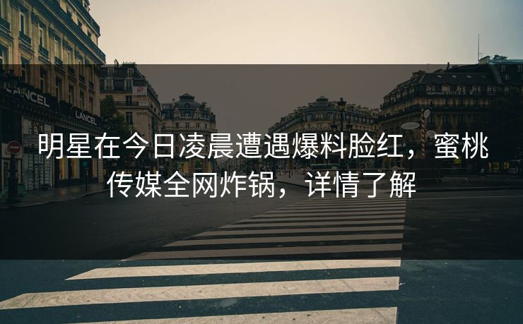 明星在今日凌晨遭遇爆料脸红，蜜桃传媒全网炸锅，详情了解