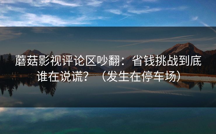 蘑菇影视评论区吵翻：省钱挑战到底谁在说谎？（发生在停车场）